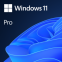 Microsoft Windows 11 Pro ESD 64-bit (FWC-03370)