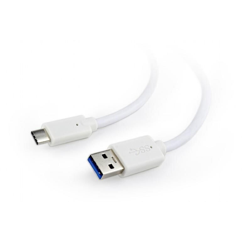 Kabelis GEMBIRD USB-C TO USB3 (CCP-USB3-AMCM-W-0.1M)