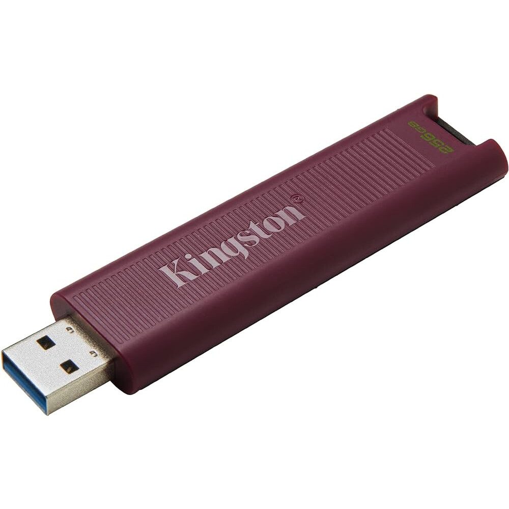 USB zibatmiņa Kingston Data Traveler Max 256GB (PAMKINFLD0430)