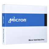 SSD Micron 7450 MAX 6.4TB (DETMIOSSD0039)