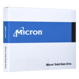 SSD Micron 7450 PRO 3.84TB (DETMIOSSD0049)