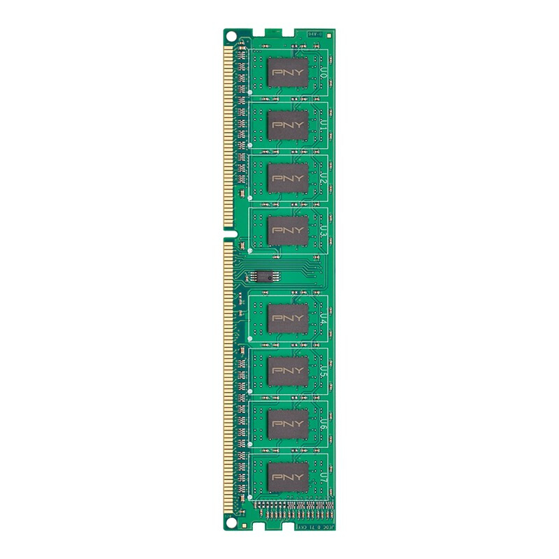 Operatīvā atmiņa PNY PC3-12800 8GB 1600MHz DDR3 CL11 (PAMPNYDR30002) - MD8GSD31600-SI