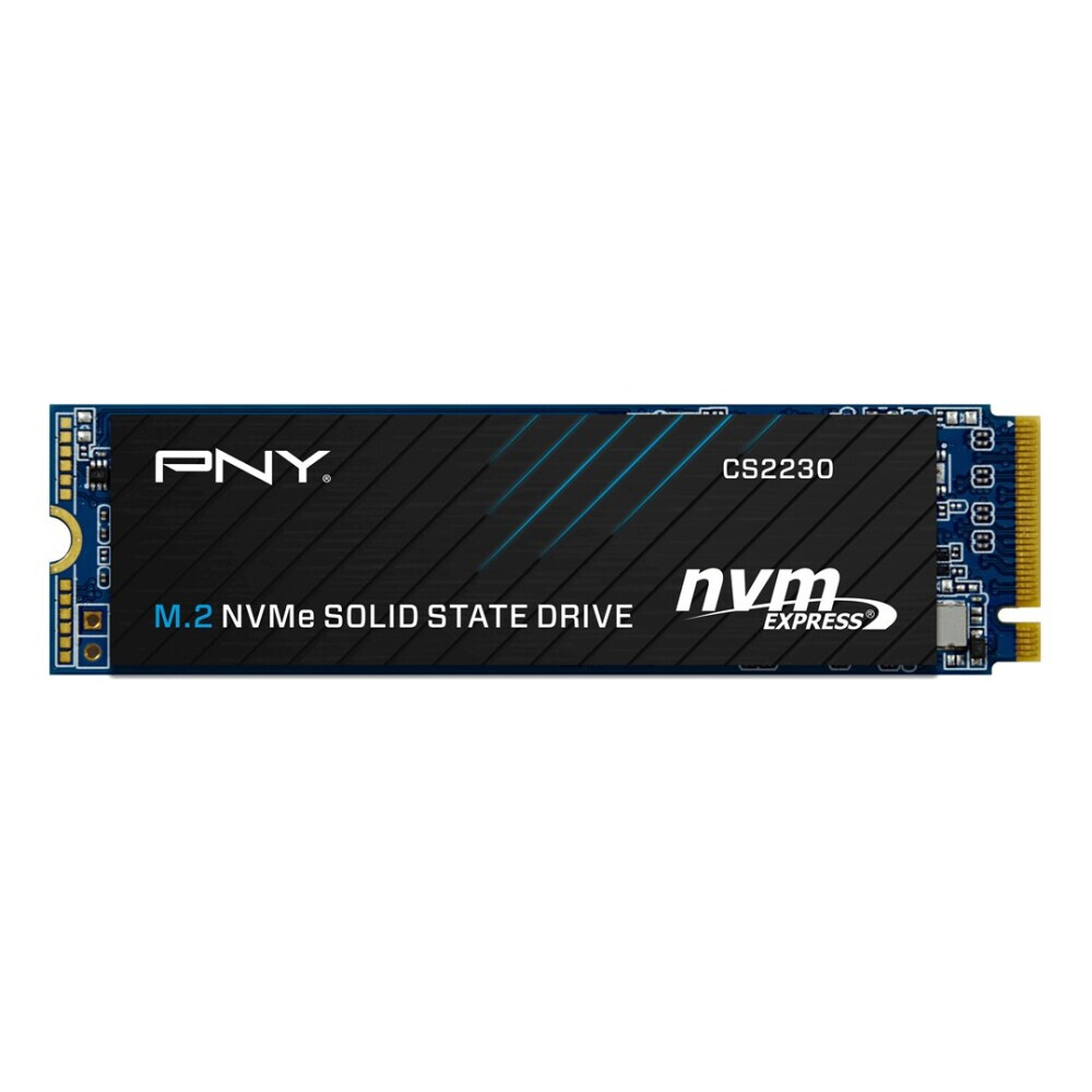 SSD PNY CS2230 1 TB (DIAPNYSSD0039)