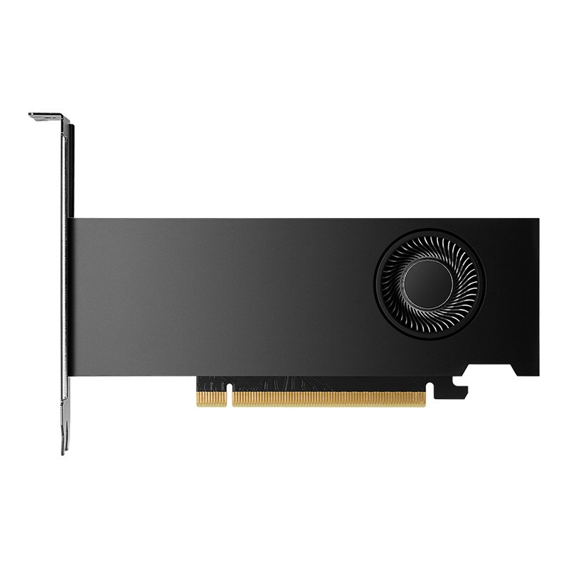 Videokarte PNY GeForce RTX 2000 Ada 16 GB GDDR6 (KGKPNYNVD0079)