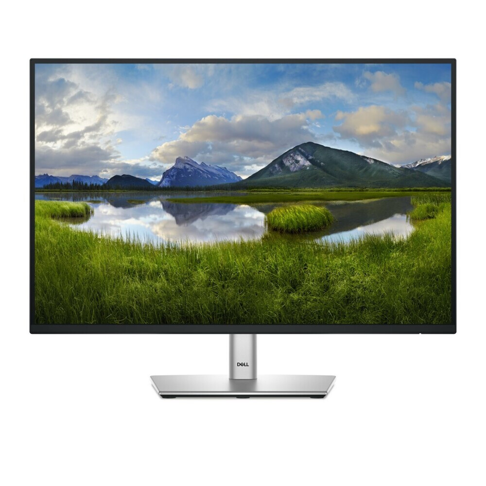 Monitors DELL P Series P2425 24.1" (MONDELMON0238)