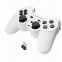 EGG108W Gaming Controller Black, White RF Gamepad (GAMESPKON0015) - foto 2