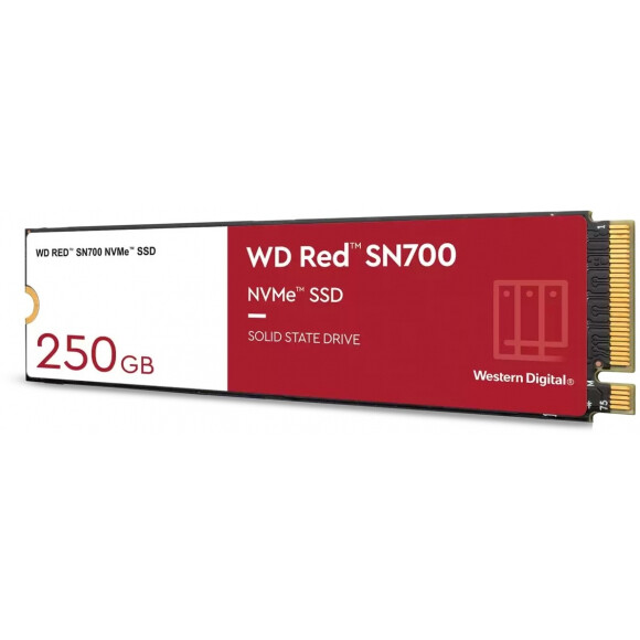 SSD WESTERN DIGITAL Red SN700 250GB (WDS250G1R0C)