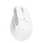 Pele TRUST BAYO+ ERGONOMIC WHITE (25399)