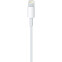 Kabelis Apple USB - Lightning (MXLY2ZM) - MXLY2ZM/A - foto 2