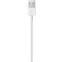 Kabelis Apple USB - Lightning (MXLY2ZM) - MXLY2ZM/A - foto 3